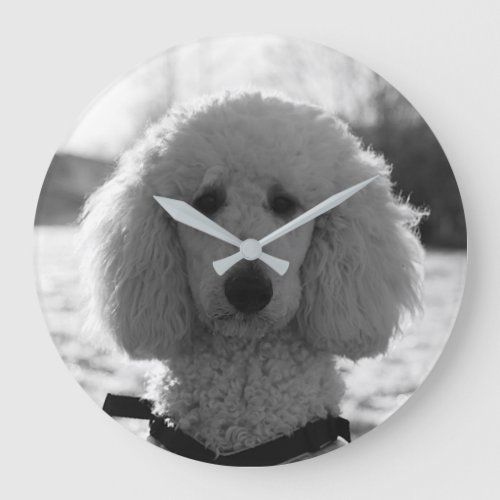 Black and White Poodle Face Puppy Eyes Large Clock