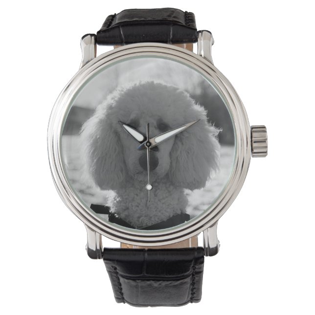Black and White Poodle Face Puppy Eyes Watch (Front)