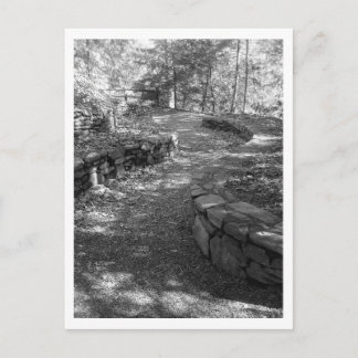 Black and White Postcard