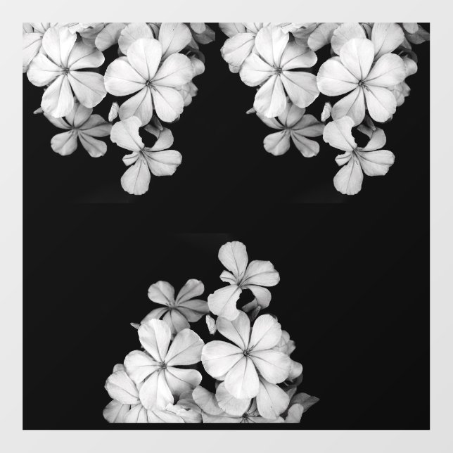 Black and White Postcard Design Wall Decal (Front)