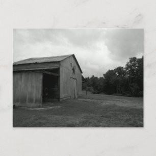 Black and White Postcards