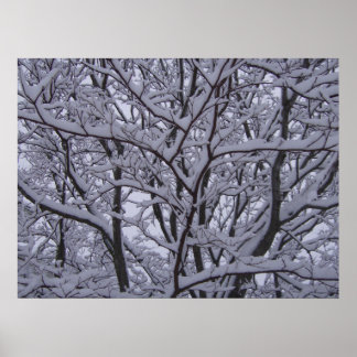 Black and White Poster