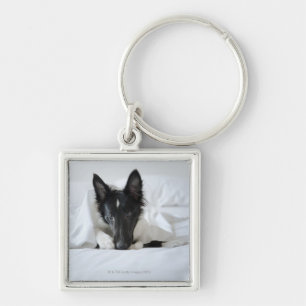 Black and white puppy in bed with bone keychain