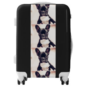 Black and White Puppy Luggage
