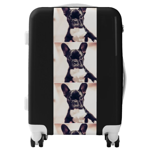 Black and White Puppy Luggage (Front)