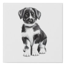 Black and White Puppy Sketch