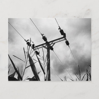 Black and white pylon postcard