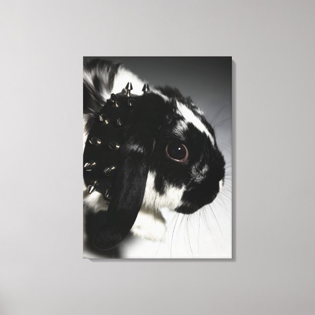 Black and white rabbit with studded collar canvas print (Front)