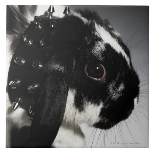 Black and white rabbit with studded collar ceramic tile (Front)