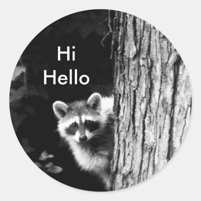 Black and White Raccoon in Tree Wildlife Sticker (Front)
