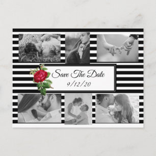 Black and White Red Rose Save the Date Postcard