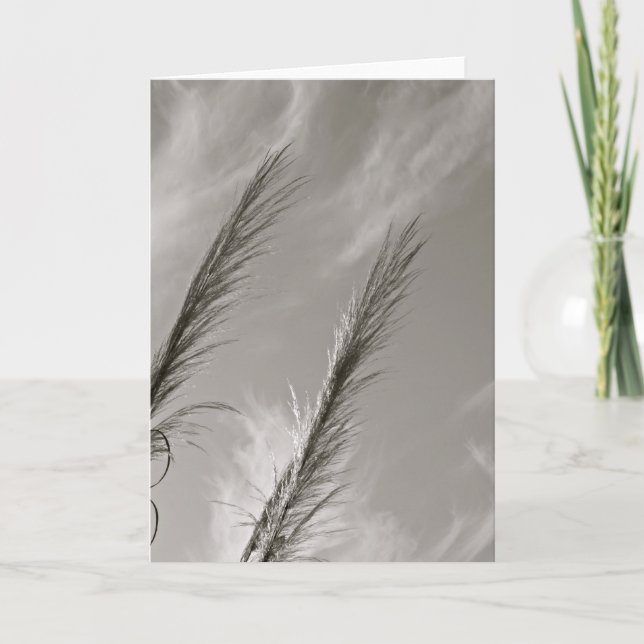BLACK AND WHITE REEDS BLOWN IN THE WIND CARD (Front)