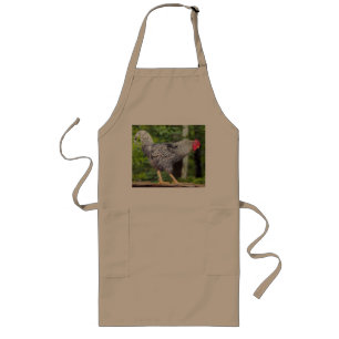Black and white Rooster on Apron