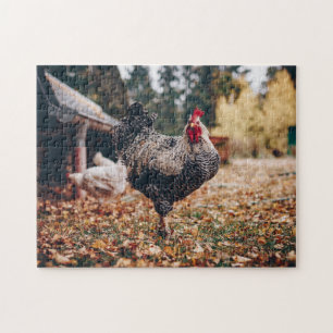 Black and White Rooster with Two Hens in Nature Jigsaw Puzzle