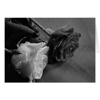 Black And White Rose by zzl_157558655514628 at Zazzle