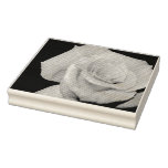 Black and White Rose Stamp 
