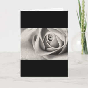 Black and White Rose, stationery, template