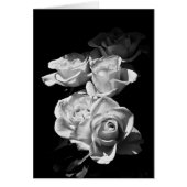 Black and white roses (Front)