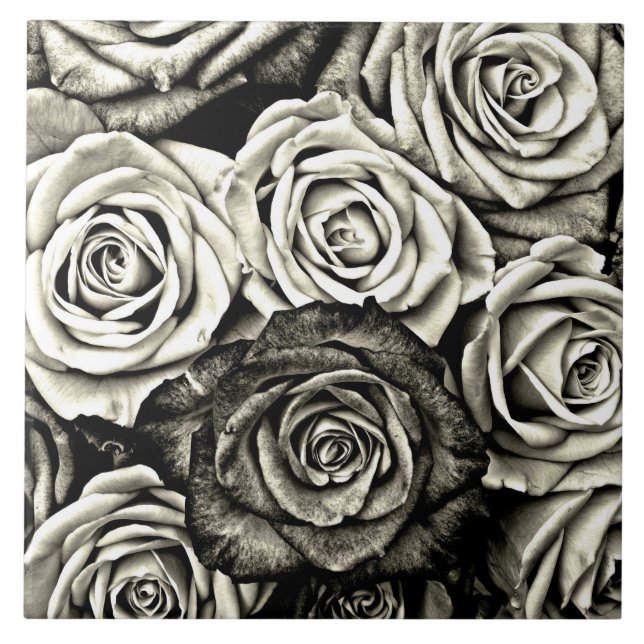 Black and White Roses Ceramic Tile (Front)