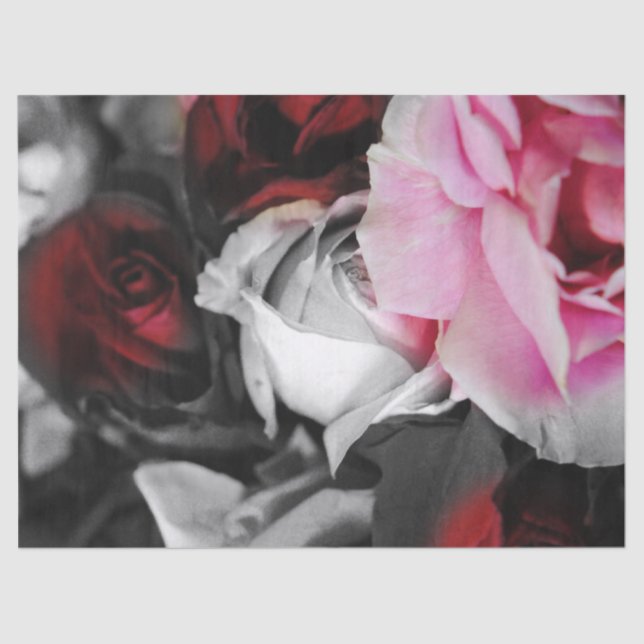 Black and White Roses Fade Tissue Paper (Front)