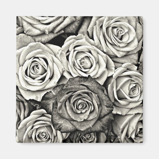 Black and White Roses Magnet (Front)