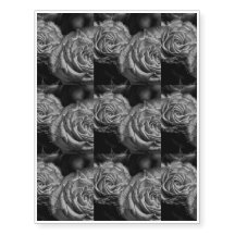 Black and White Roses