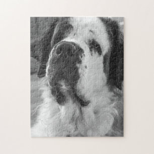 Black and white Saint Bernard dog Jigsaw Puzzle