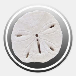 Black and White Sand dollar wedding Sticker