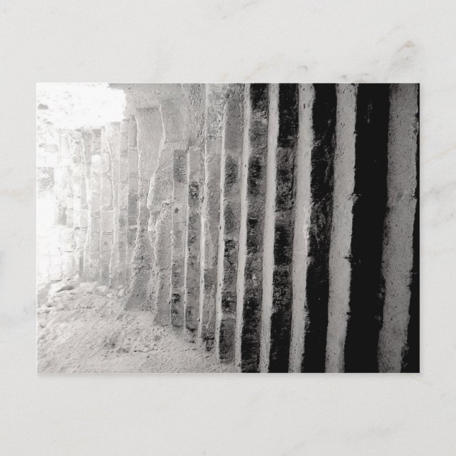 Black and White Scenery Photograph Stairway Postcard (Front)