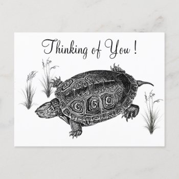 Black and White Sea Turtle Thinking of You