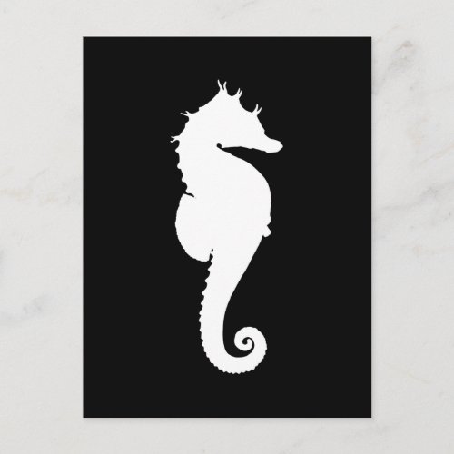 Black and White Seahorse Postcard