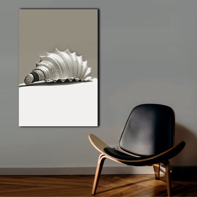 Black and White Seashell Canvas (Creator Uploaded)