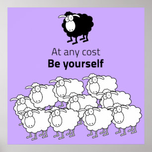 Black and white sheep poster