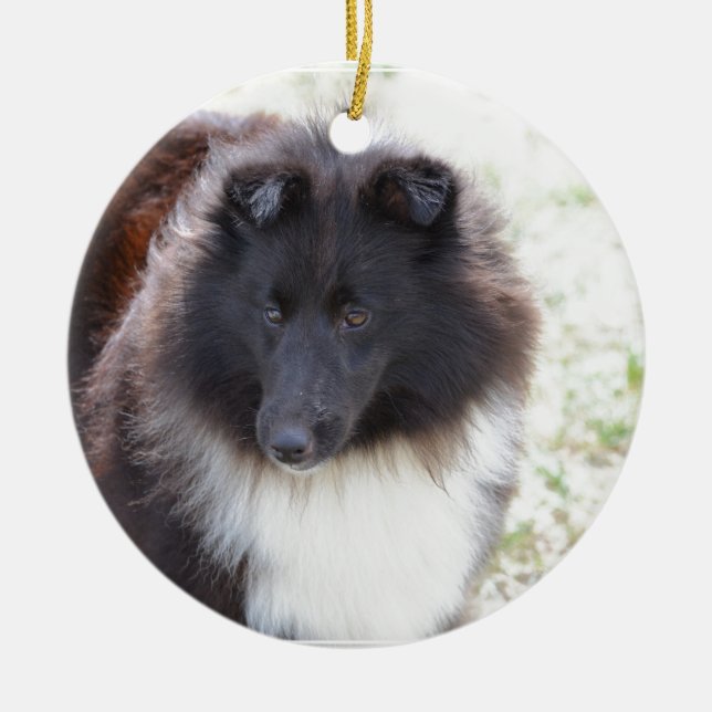 Black and White Sheltie Ceramic Ornament (Front)