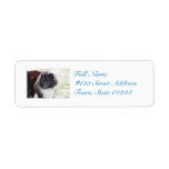 Black and White Sheltie Label