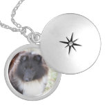 Black and White Sheltie Locket Necklace