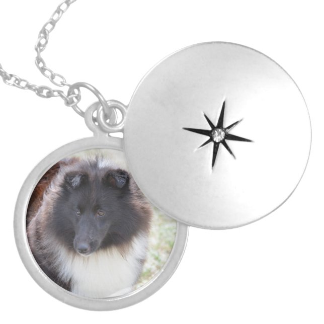 Black and White Sheltie Locket Necklace (Front)