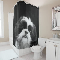 Spring Dog House Shih Tzu Dogs Bath Mat and Shower Curtain Combo