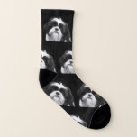 Black And White Shih Tzu  Dog Socks at Zazzle