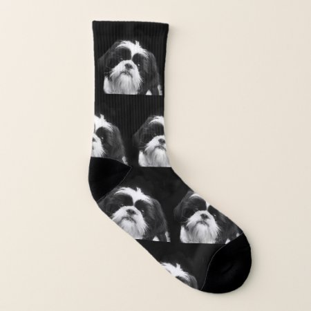 Black And White Shih Tzu  Dog Socks