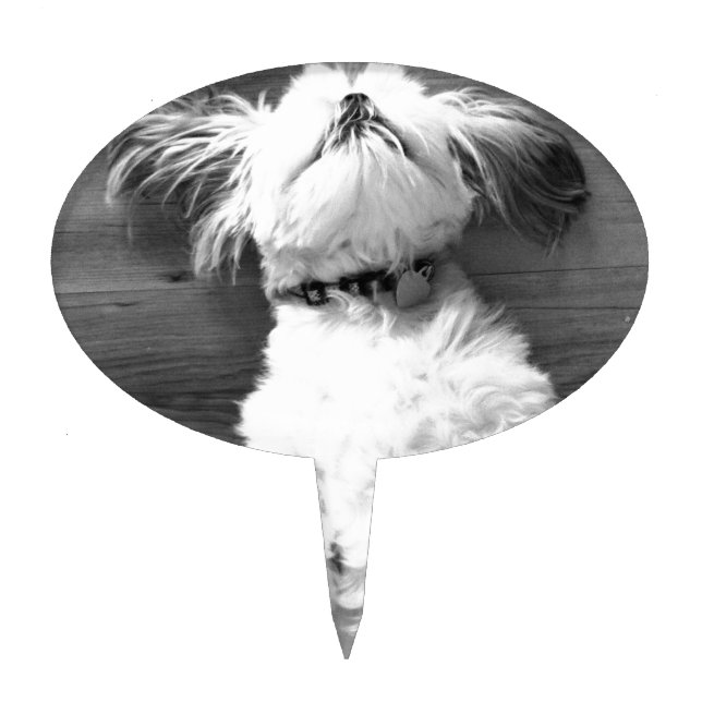 Black and White Shih-Tzu Puppy Cake Topper (Front)