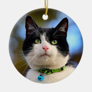 Black and White Shorthair Cat Ceramic Ornament