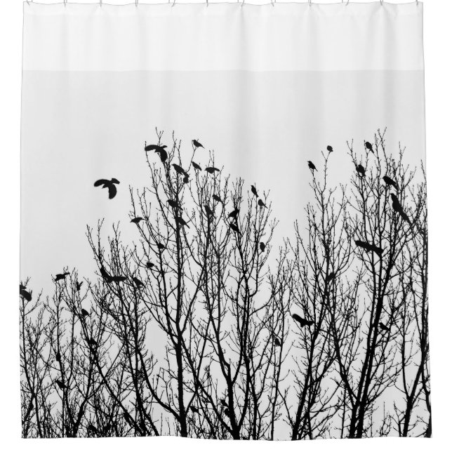 Black and White Shower Curtain, Bird, Trees Photo Curtain (Front)