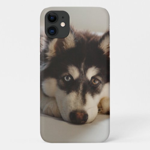 Black and white siberian husky iPhone 11 case