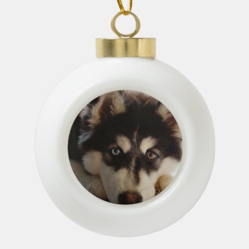 Black and white siberian husky ceramic ball christmas ornament