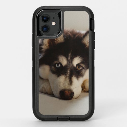 Black and white siberian husky OtterBox defender iPhone 11 case