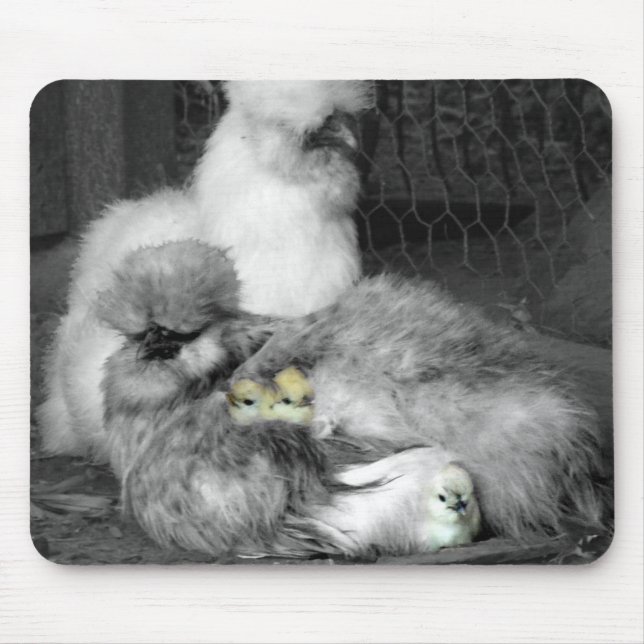 Black and White Silkie Chickens with yellow Chicks Mouse Pad (Front)