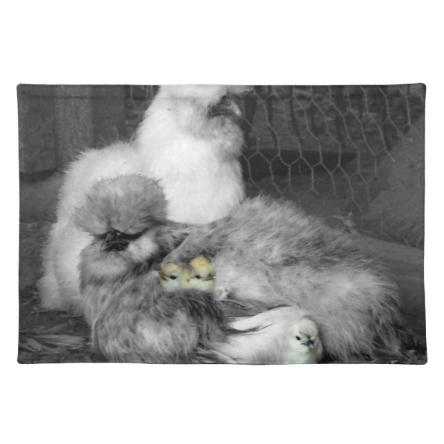 Black and White Silkie Chickens with yellow Chicks Placemat (Front)