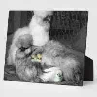 Silkie Mom Adorable Silkies Chicken Illustration Digital Art by