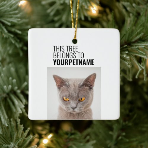 Black And White Simple Funny Christmas Pet Photo Ceramic Ornament